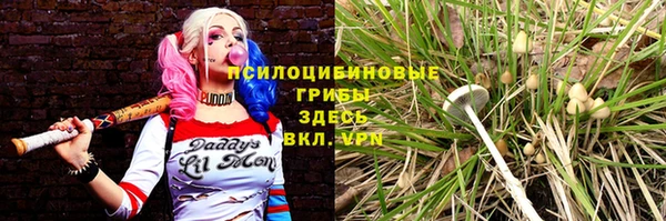 тгк Ладушкин