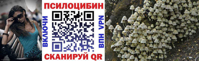 закладки  mega ТОР  Псилоцибиновые грибы MAGIC MUSHROOMS  Михайловка 